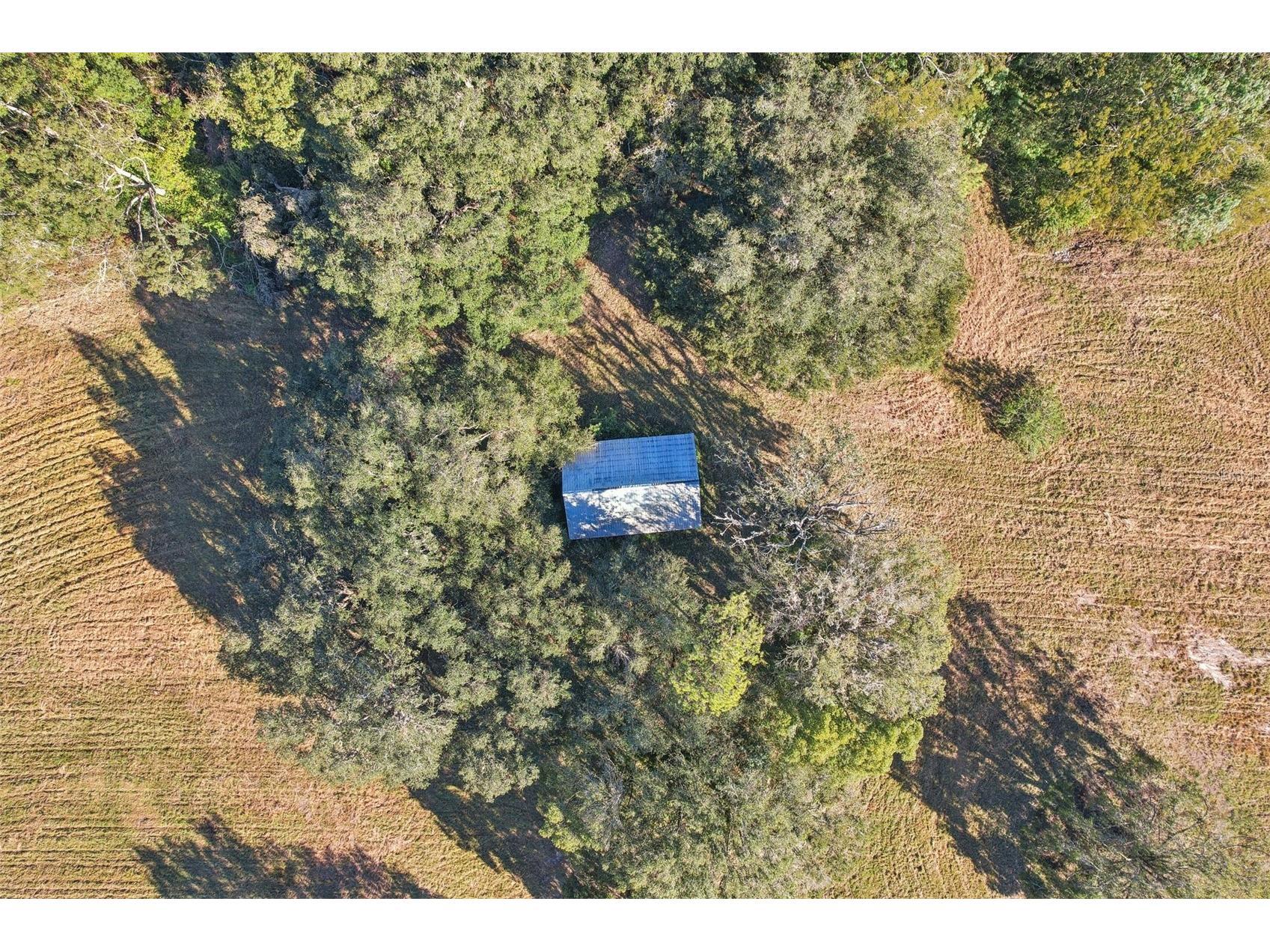 4610 E County Road 542 Lakeland FL 33801 TB8468770 image4