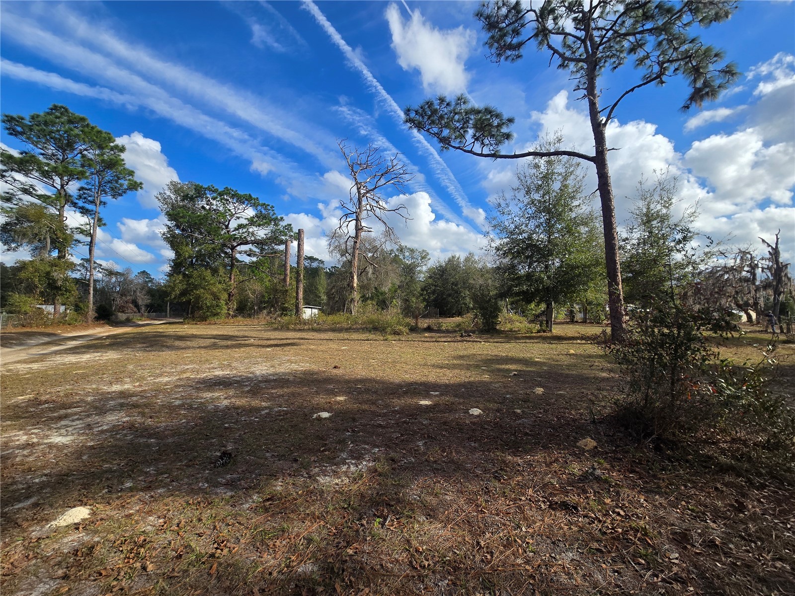 4610 N Ellen Point Crystal River FL 34428 OM716045 image1