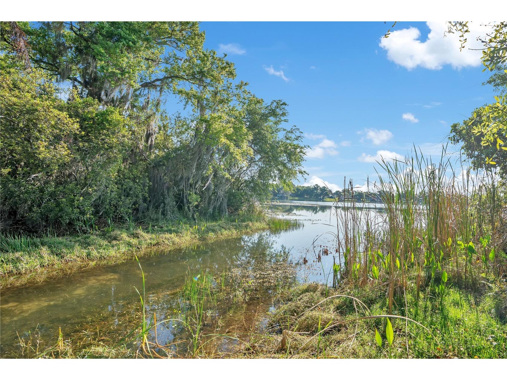 4610 Oak Cove Lane Orlando FL 32806 O6395265 image58