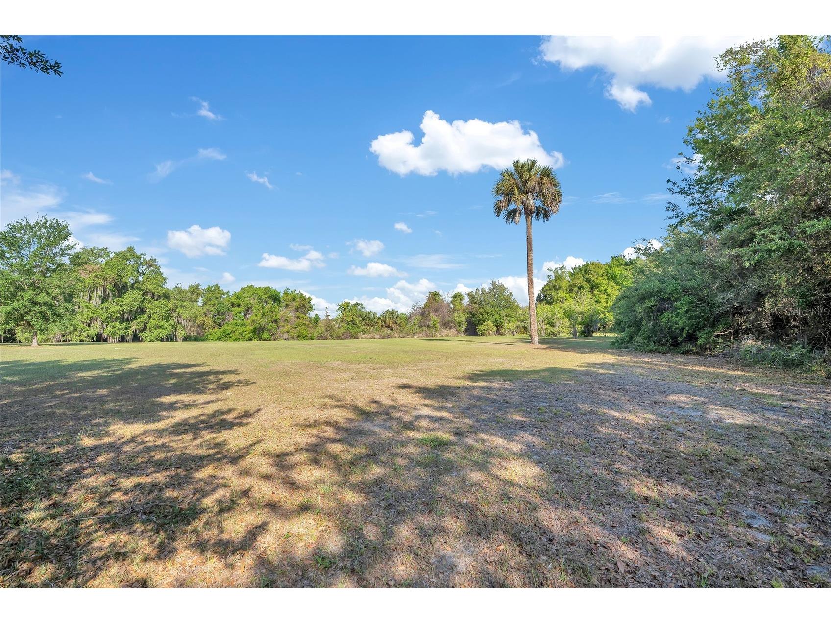 4610 Oak Cove Lane Orlando FL 32806 O6395265 image59