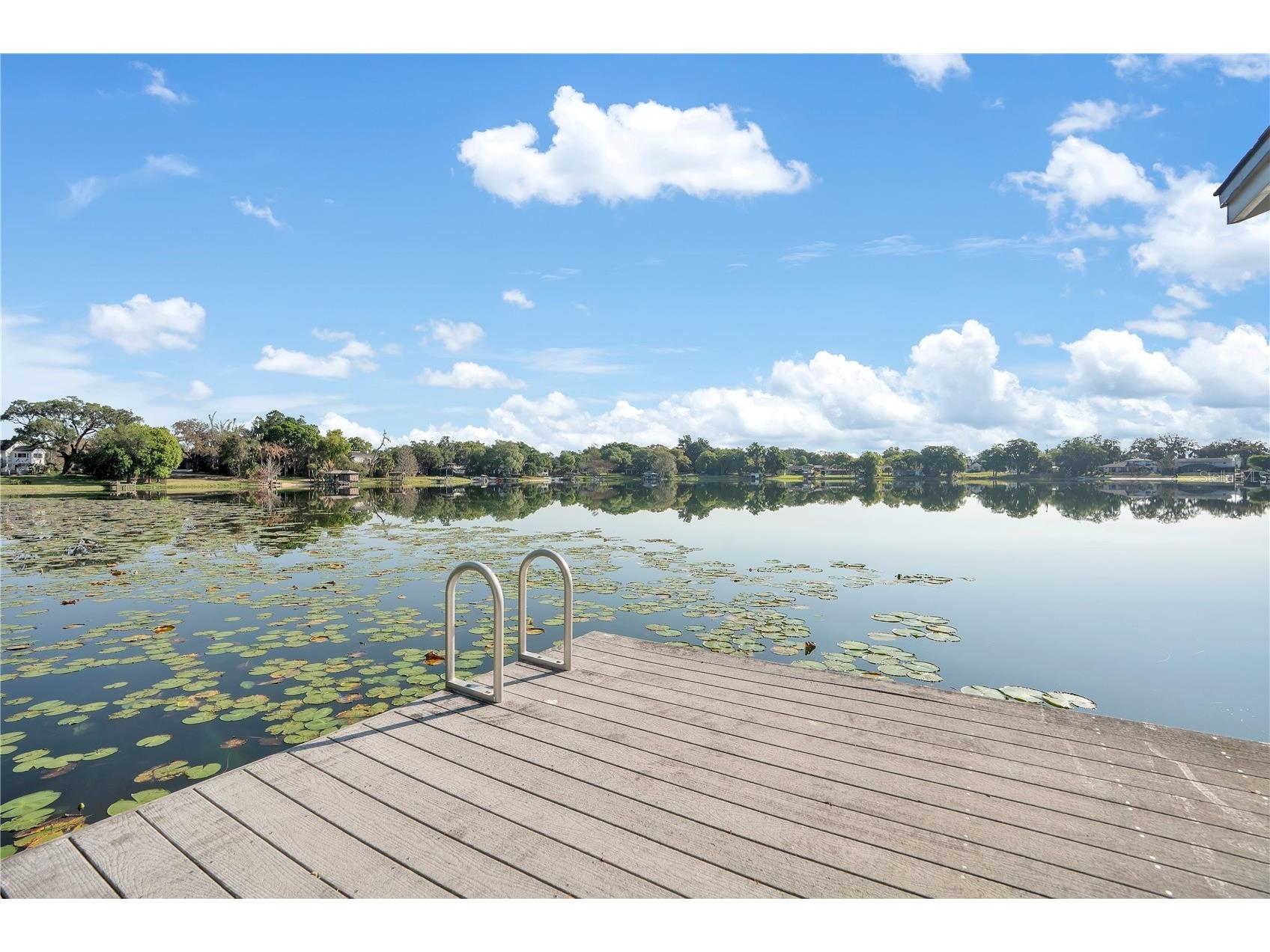 4610 Oak Cove Lane Orlando FL 32806 O6395265 image6