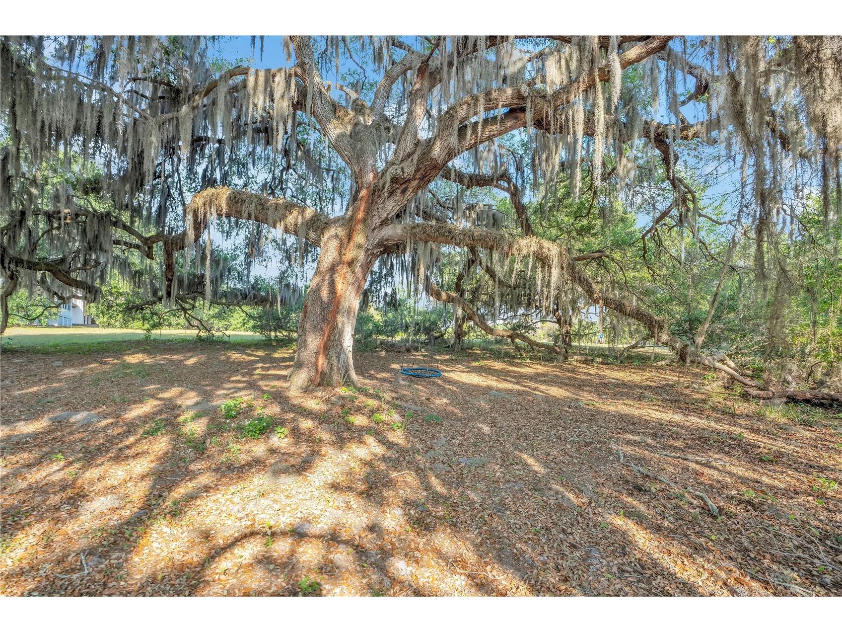 4610 Oak Cove Lane Orlando FL 32806 O6395265 image61