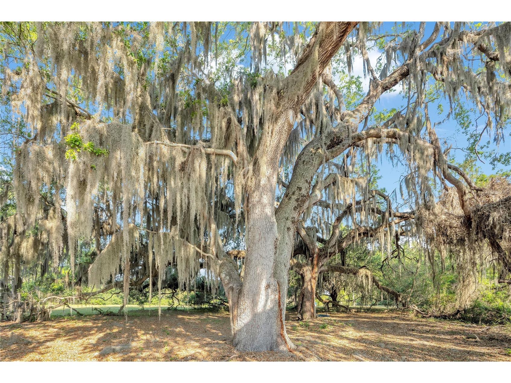 4610 Oak Cove Lane Orlando FL 32806 O6395265 image63