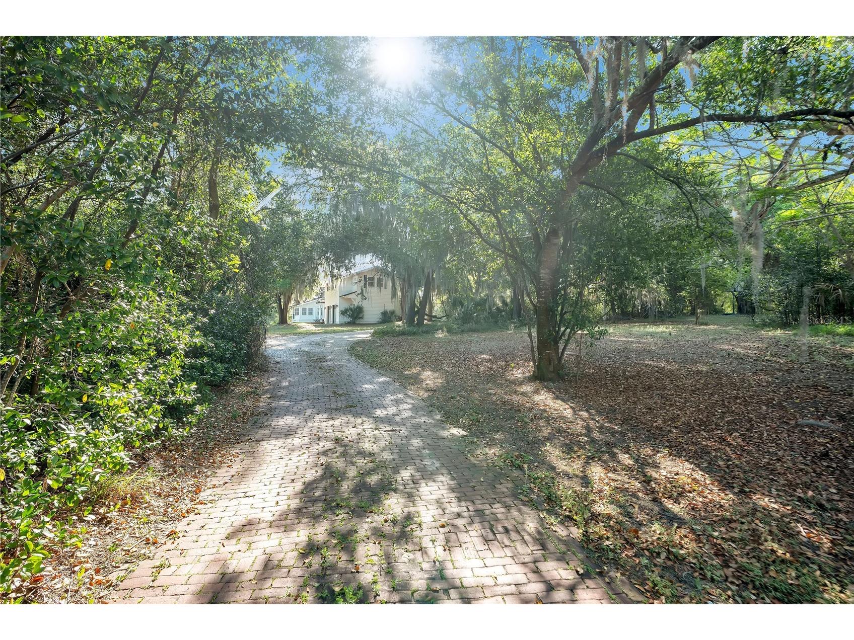 4610 Oak Cove Lane Orlando FL 32806 O6395265 image8