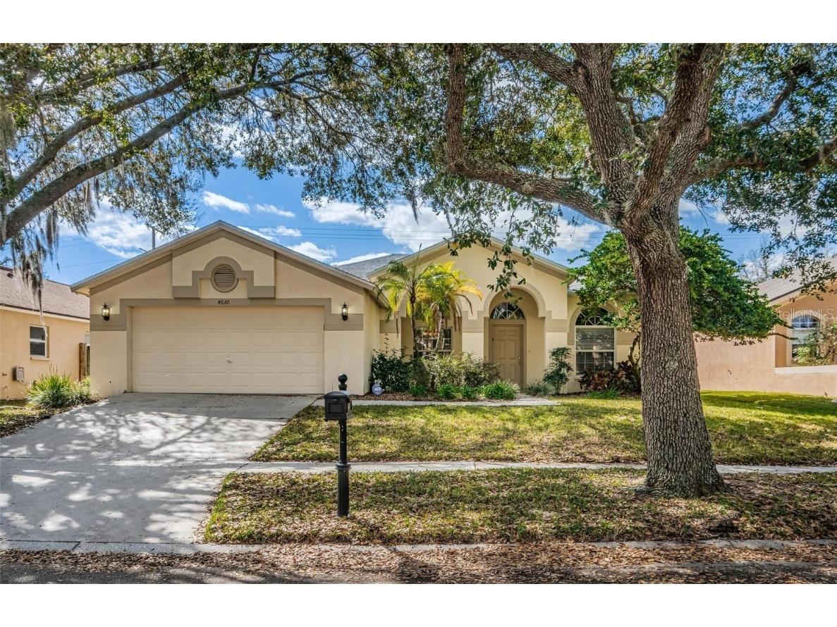 4610 Portobello Circle Valrico FL 33596 T3503206 image1