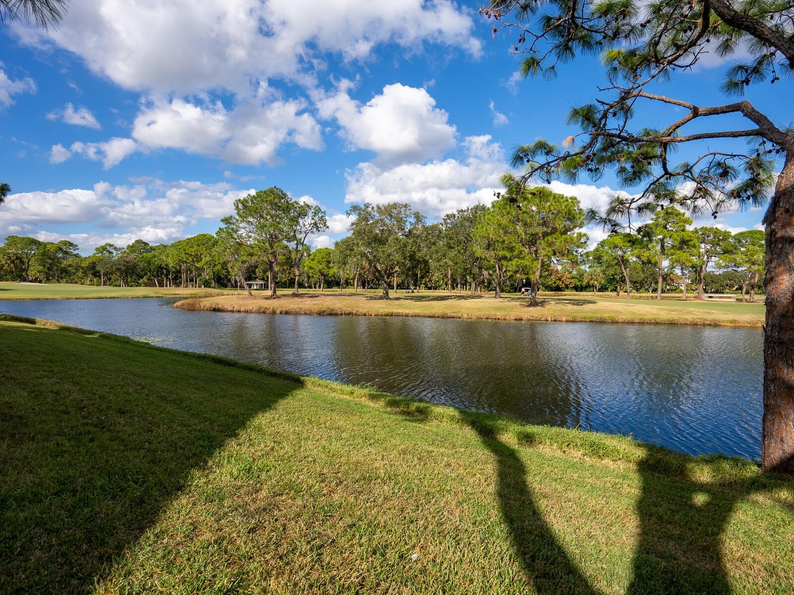 4610 Weybridge #24 Sarasota FL 34235 A4675023 image11