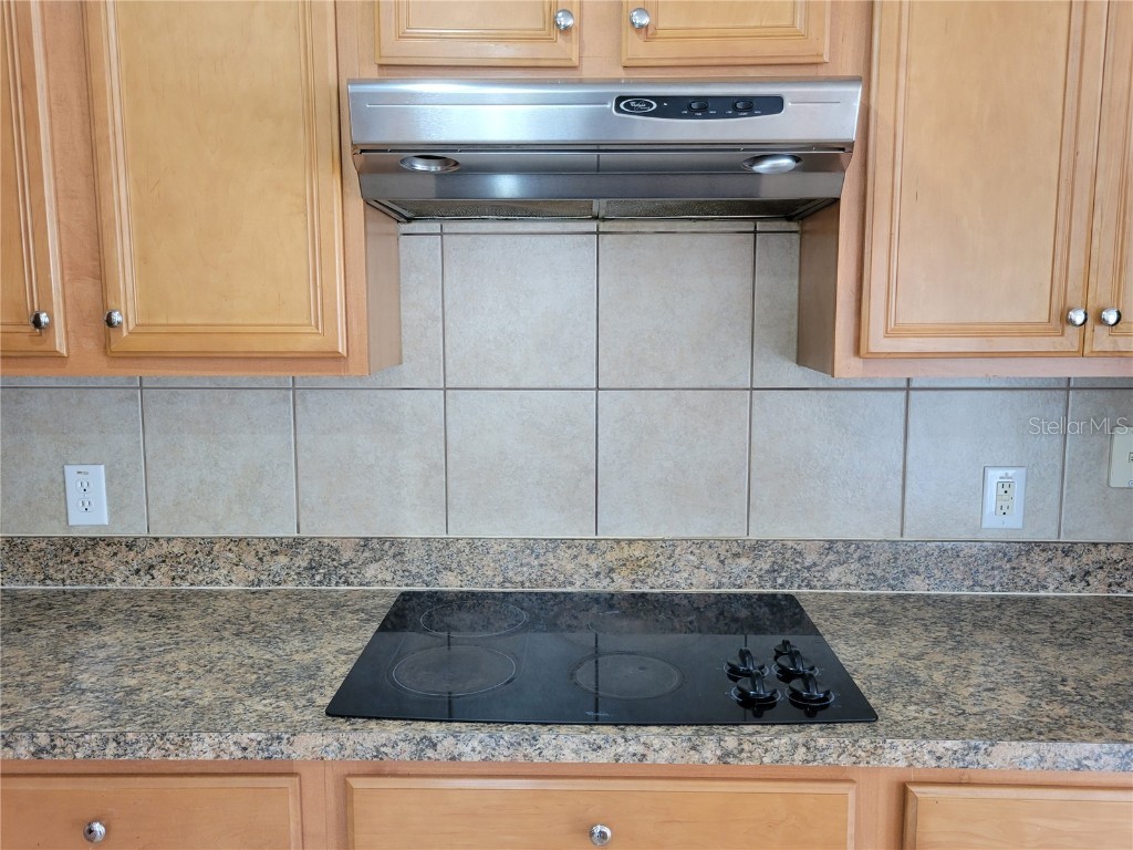 4610 Yellow Bay Drive Kissimmee FL 34758 P4934276 image16