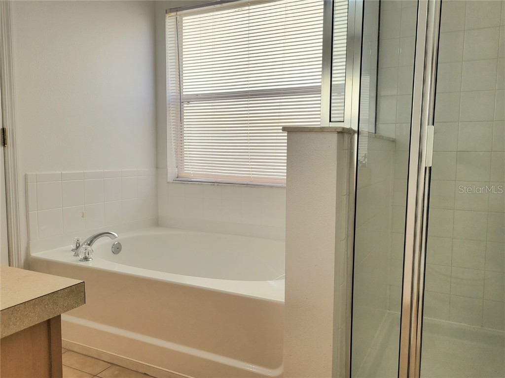 4610 Yellow Bay Drive Kissimmee FL 34758 P4934276 image20