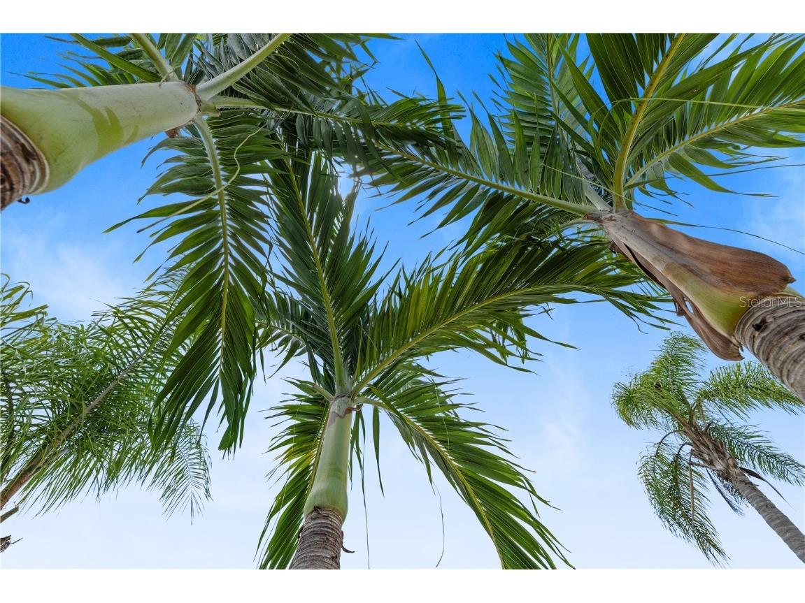 4611 Cabalerro Trail Kissimmee FL 34758 S5132592 image48