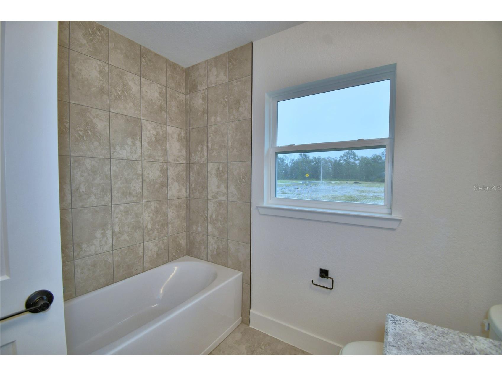 4611 Calamint Lane Auburndale FL 33823 L4962728 image52