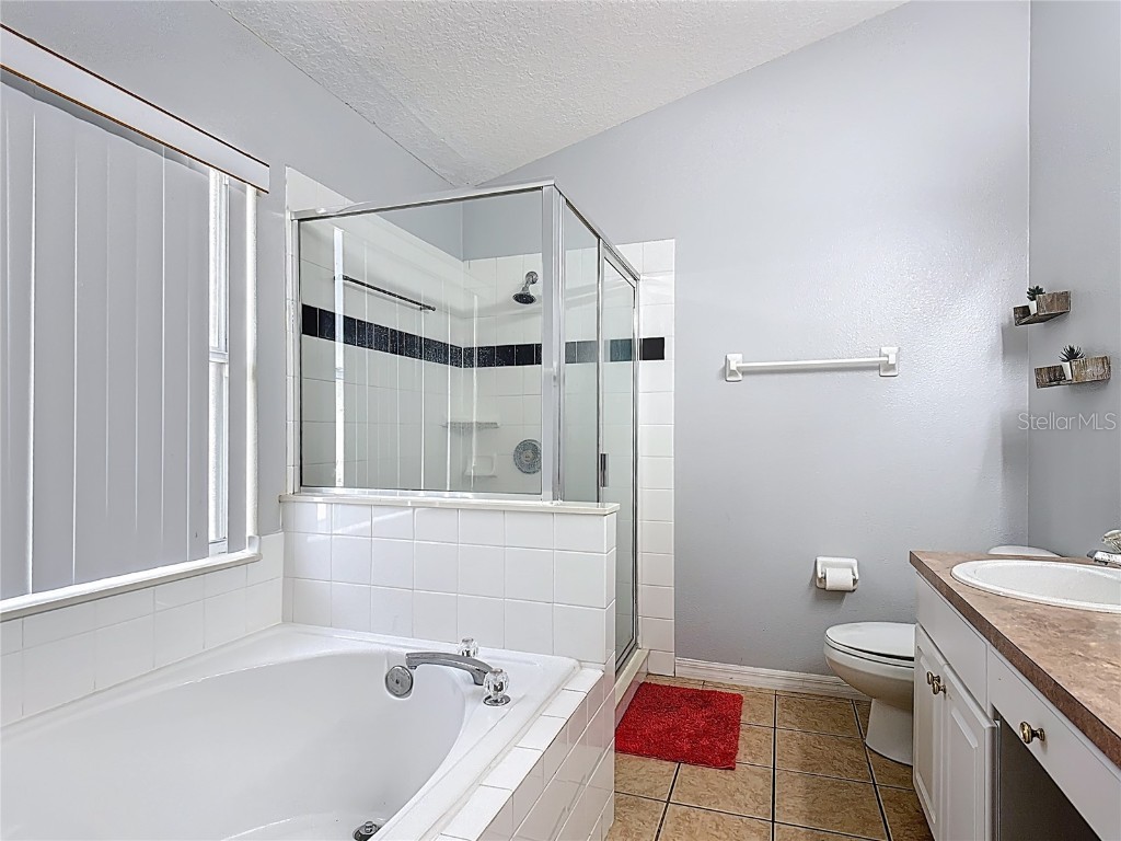 4611 Cumbrian Lakes Drive Kissimmee FL 34746 O6371530 image21