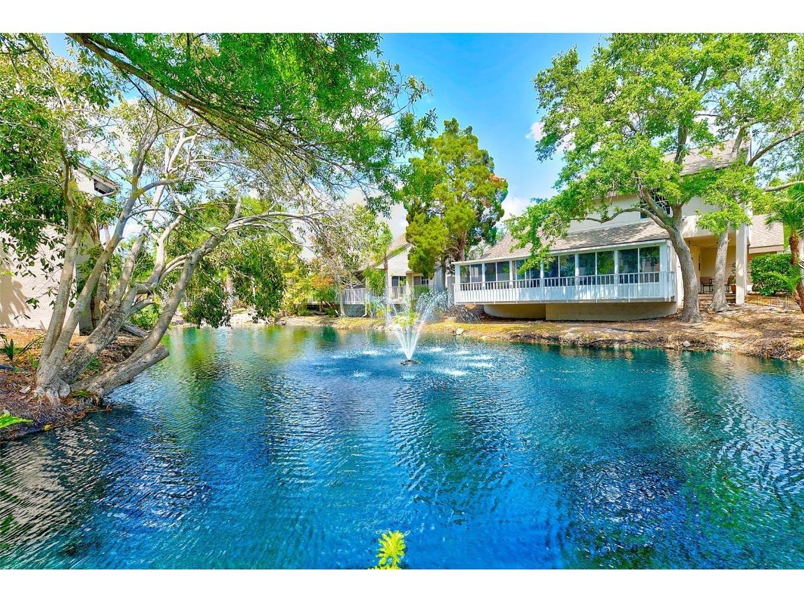 4611 Duhme Road #1A Saint Petersburg FL 33708 TB8368957 image23