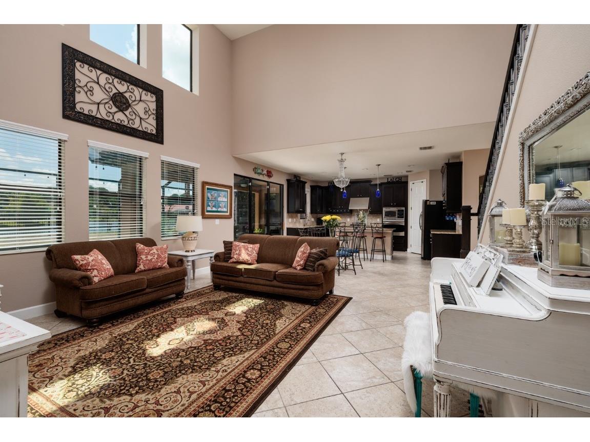 4611 Grand Preserve Place Palm Harbor FL 34684 - LAKE TARPON TB8386100 image20