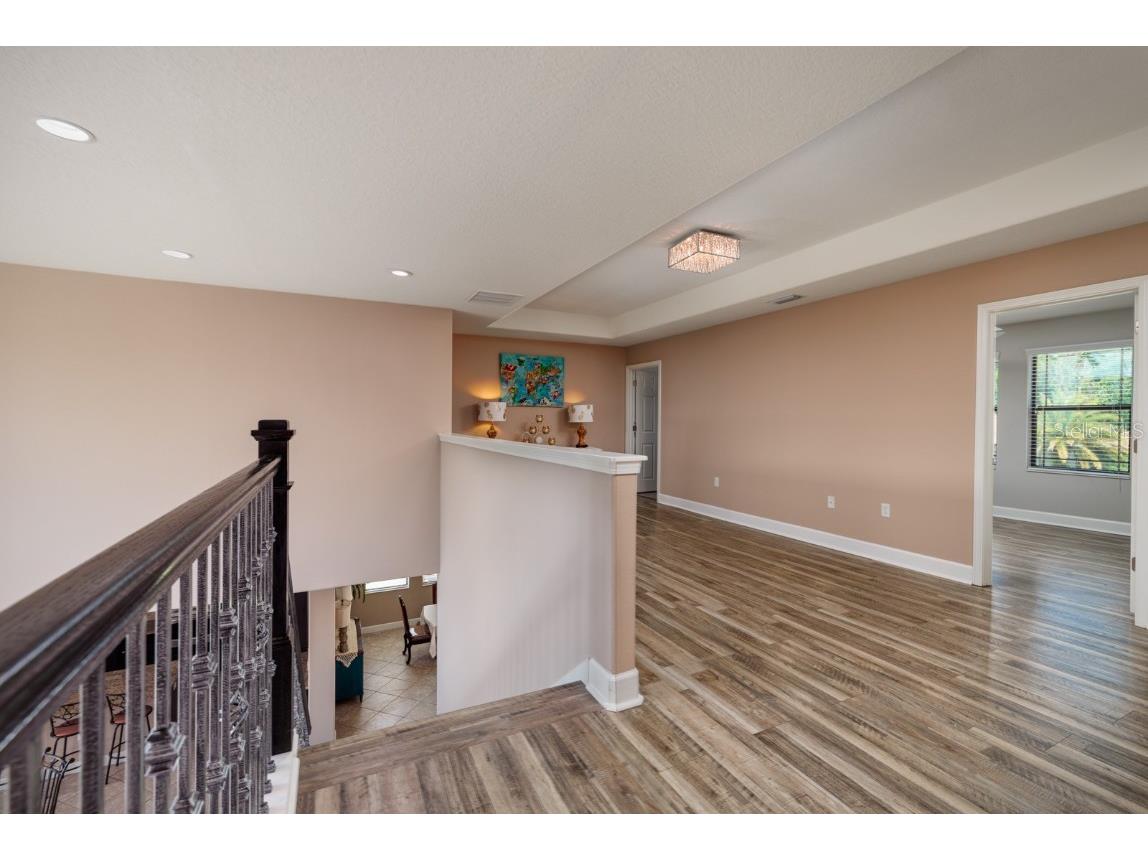 4611 Grand Preserve Place Palm Harbor FL 34684 - LAKE TARPON TB8386100 image23