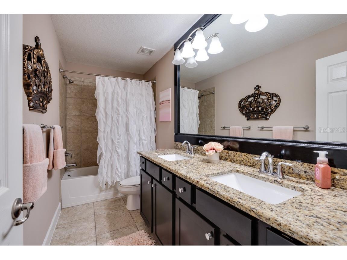 4611 Grand Preserve Place Palm Harbor FL 34684 - LAKE TARPON TB8386100 image27