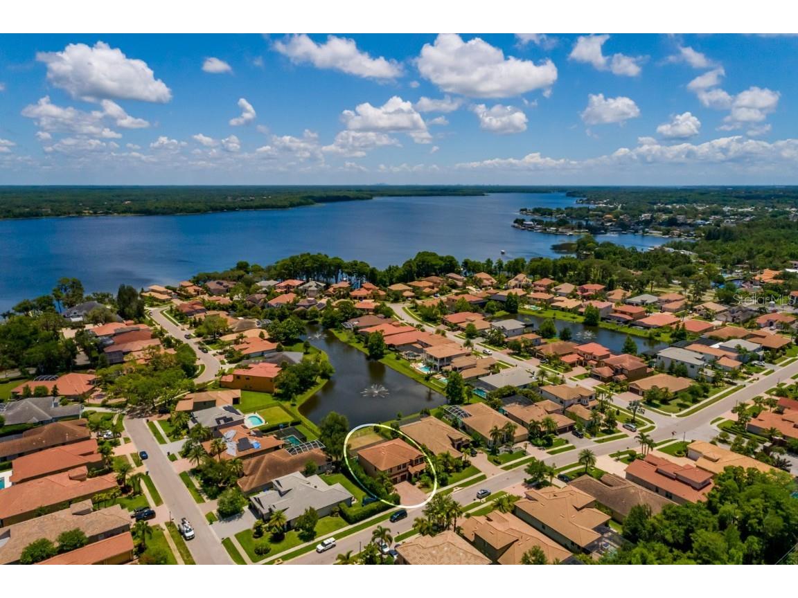 4611 Grand Preserve Place Palm Harbor FL 34684 - LAKE TARPON TB8386100 image3