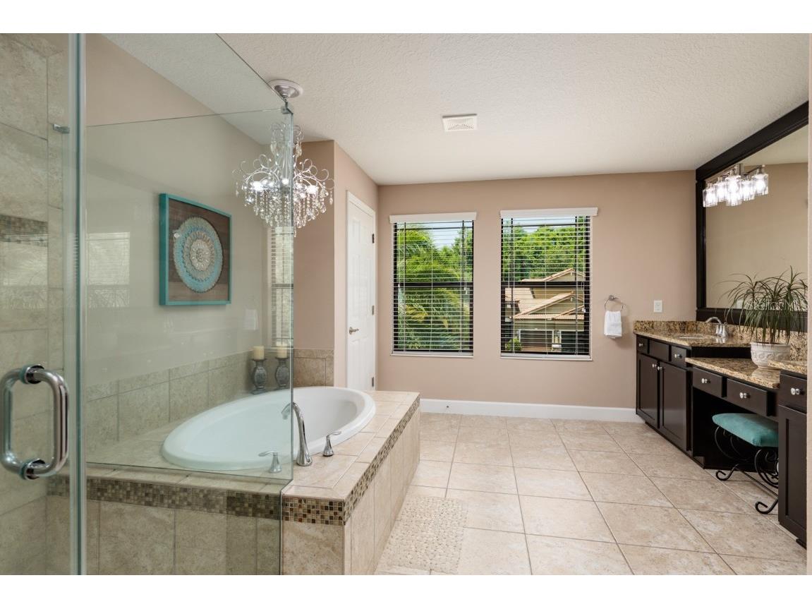 4611 Grand Preserve Place Palm Harbor FL 34684 - LAKE TARPON TB8386100 image33