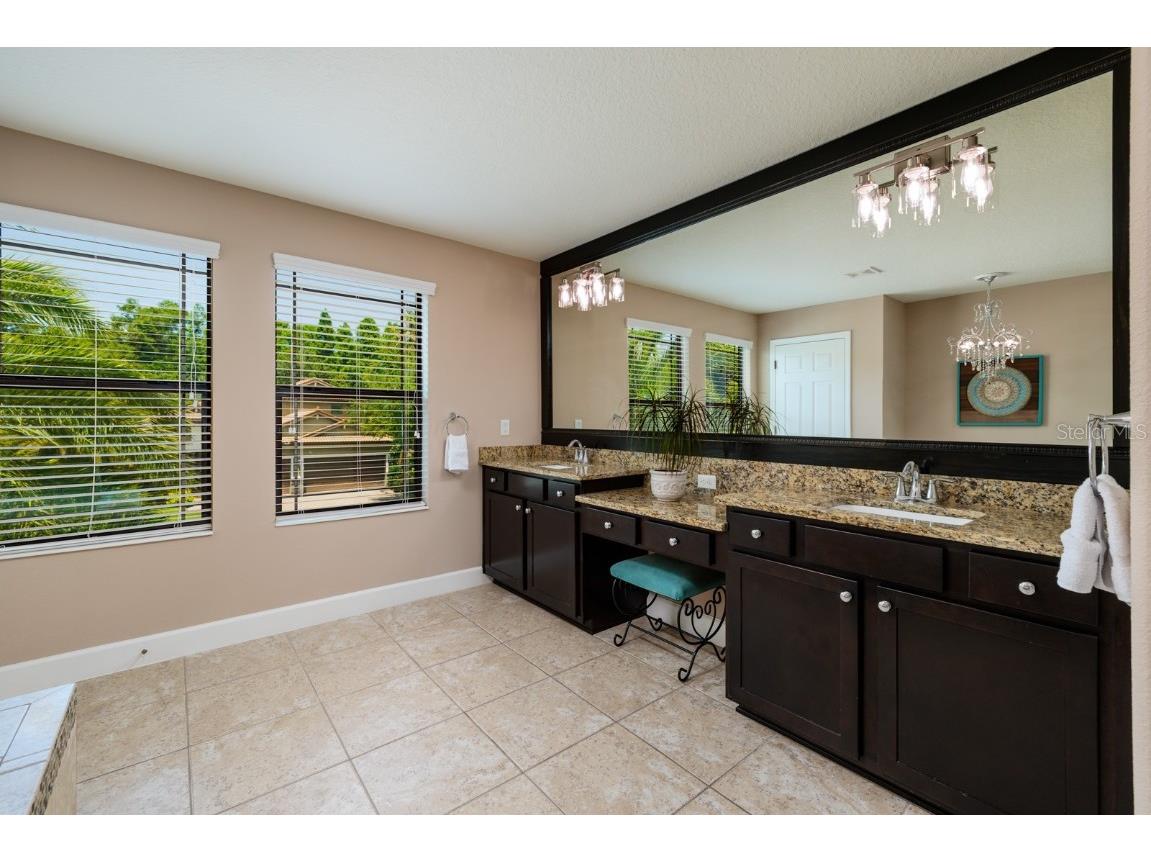 4611 Grand Preserve Place Palm Harbor FL 34684 - LAKE TARPON TB8386100 image34