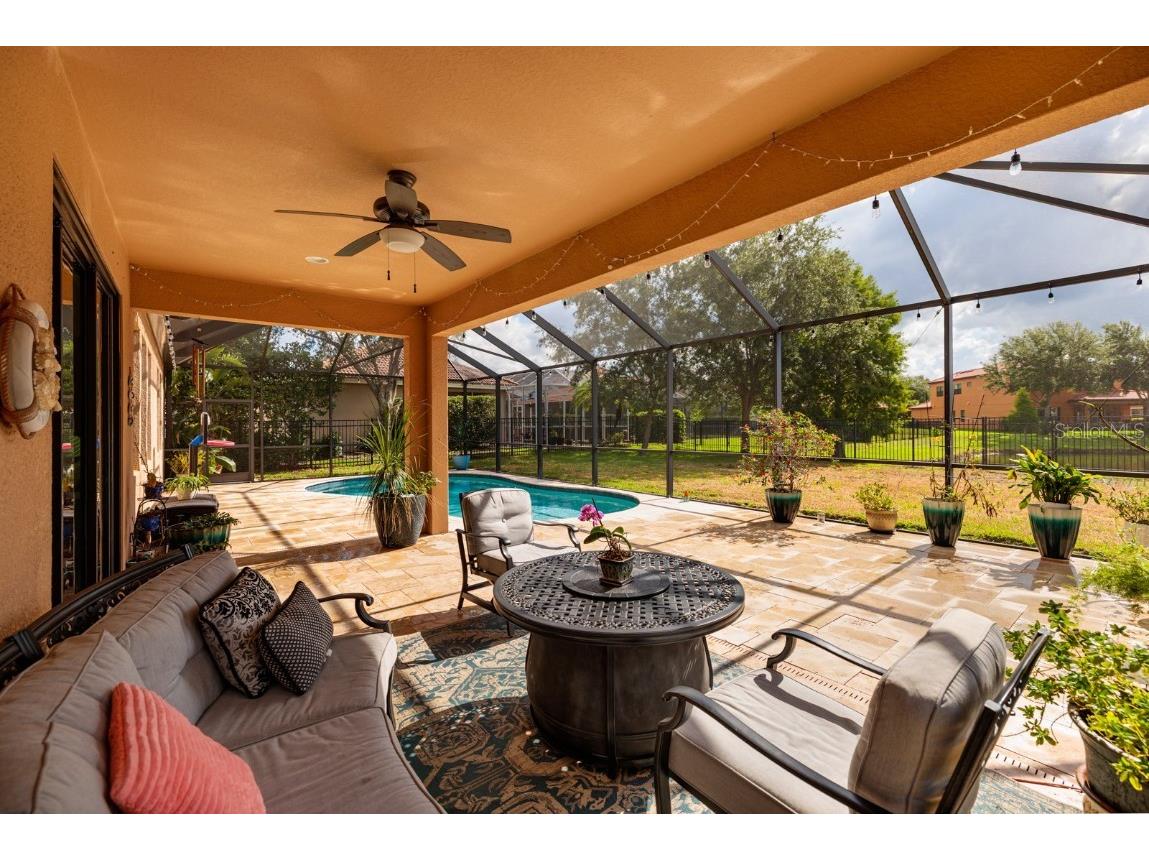 4611 Grand Preserve Place Palm Harbor FL 34684 - LAKE TARPON TB8386100 image39