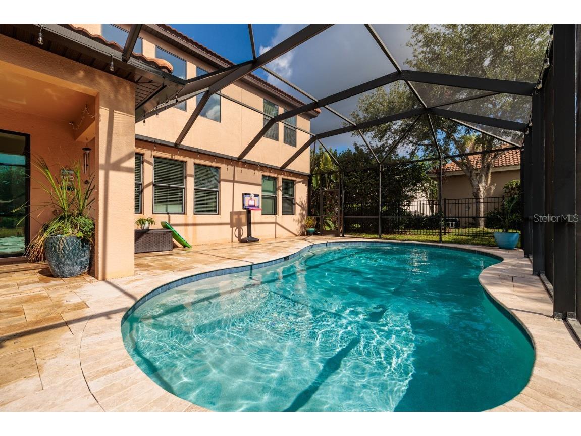 4611 Grand Preserve Place Palm Harbor FL 34684 - LAKE TARPON TB8386100 image40