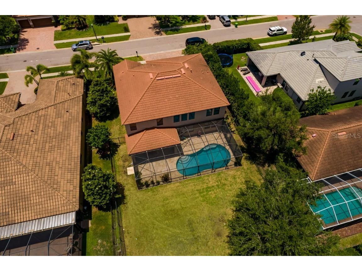 4611 Grand Preserve Place Palm Harbor FL 34684 - LAKE TARPON TB8386100 image45