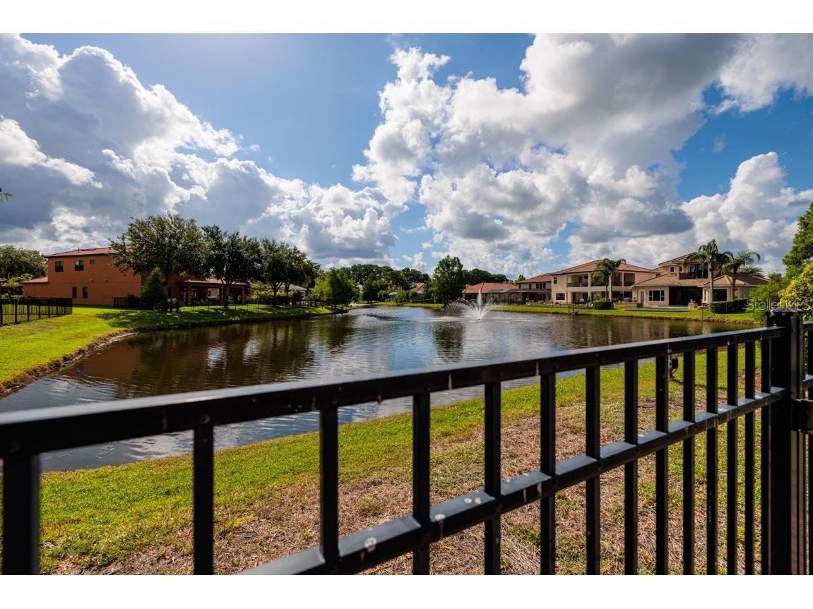 4611 Grand Preserve Place Palm Harbor FL 34684 - LAKE TARPON TB8386100 image47