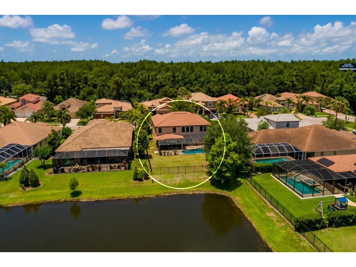 4611 Grand Preserve Place Palm Harbor FL 34684 - LAKE TARPON TB8386100 image54
