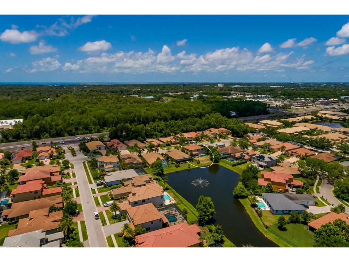 4611 Grand Preserve Place Palm Harbor FL 34684 - LAKE TARPON TB8386100 image55