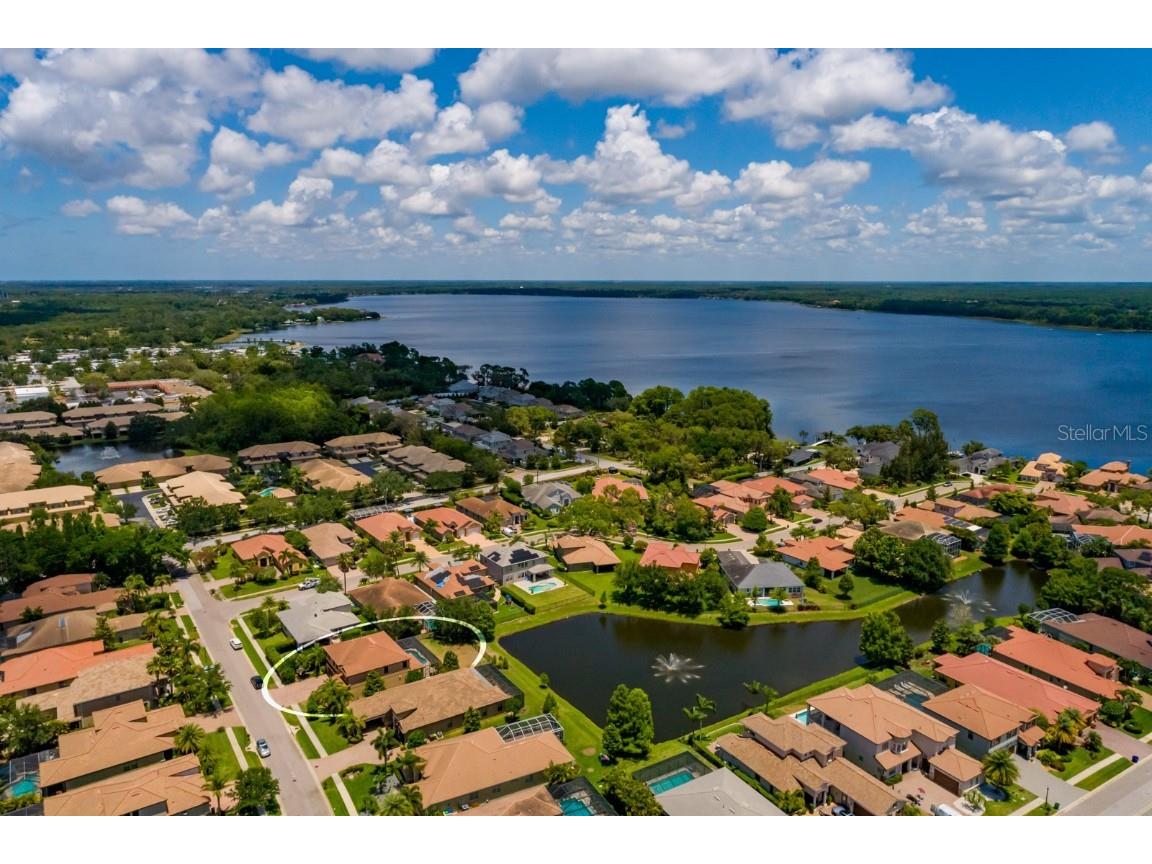 4611 Grand Preserve Place Palm Harbor FL 34684 - LAKE TARPON TB8386100 image57