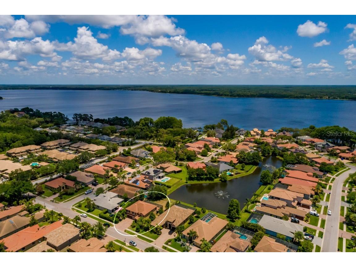 4611 Grand Preserve Place Palm Harbor FL 34684 - LAKE TARPON TB8386100 image58