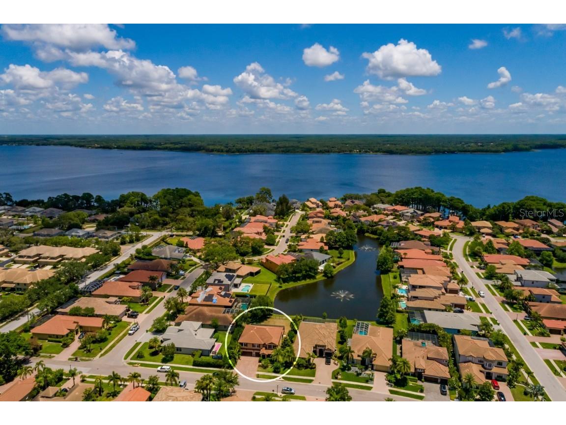 4611 Grand Preserve Place Palm Harbor FL 34684 - LAKE TARPON TB8386100 image59