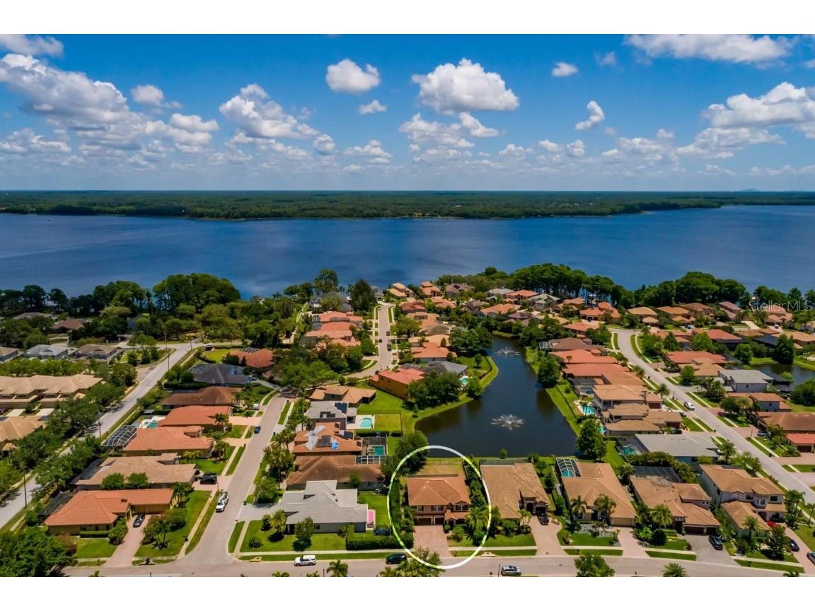 4611 Grand Preserve Place Palm Harbor FL 34684 - LAKE TARPON TB8386100 image60