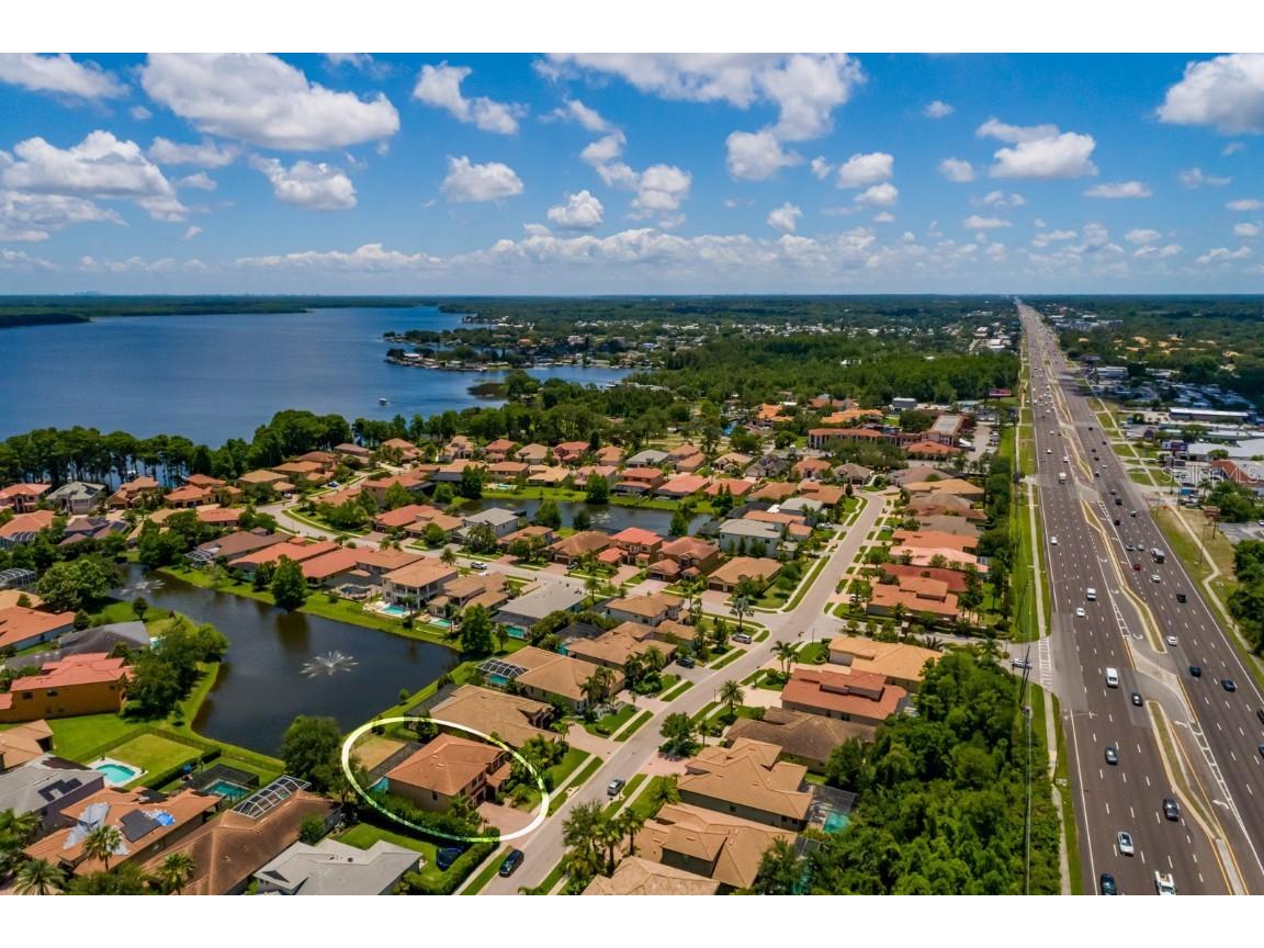 4611 Grand Preserve Place Palm Harbor FL 34684 - LAKE TARPON TB8386100 image61