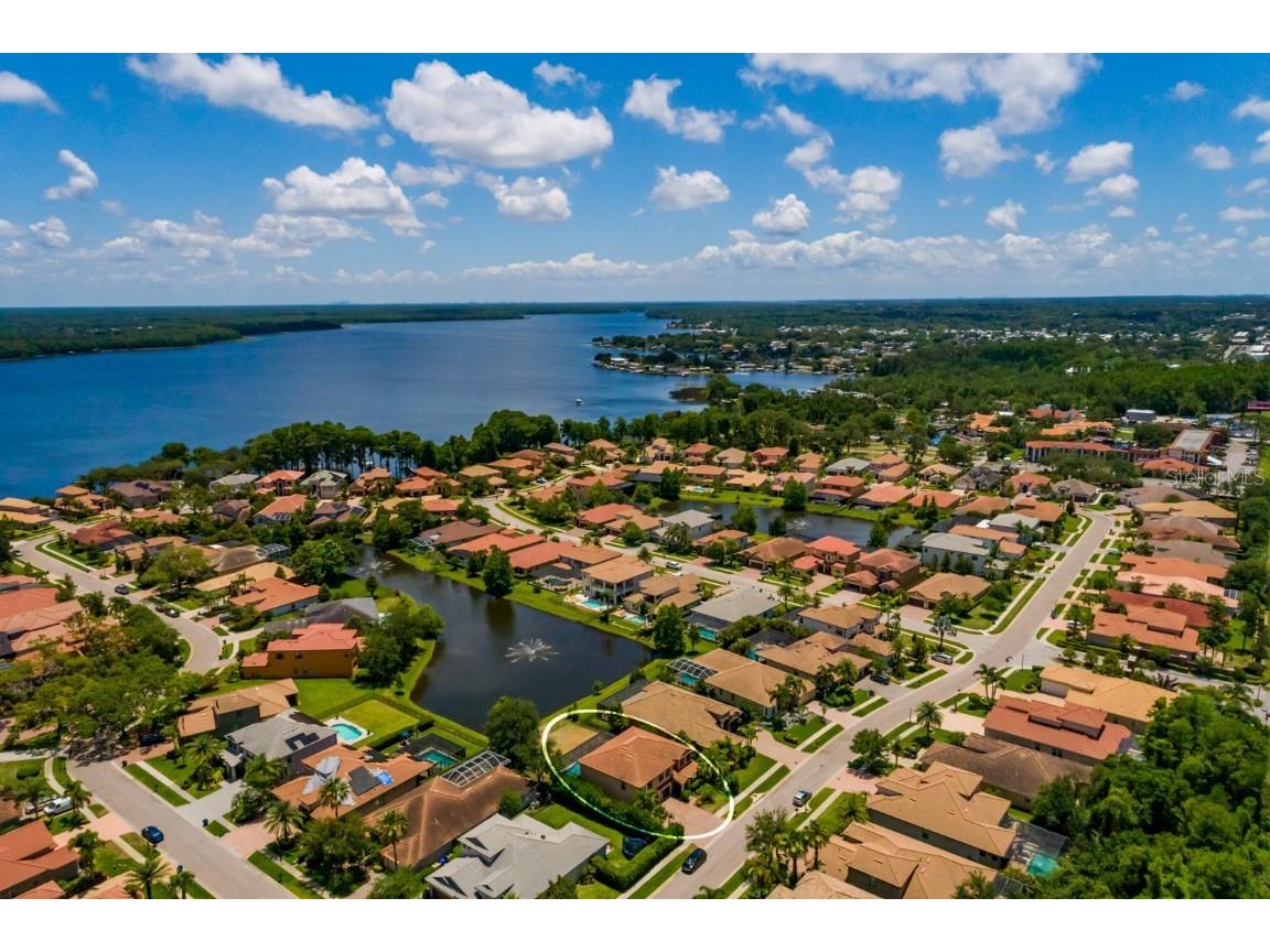 4611 Grand Preserve Place Palm Harbor FL 34684 - LAKE TARPON TB8386100 image62