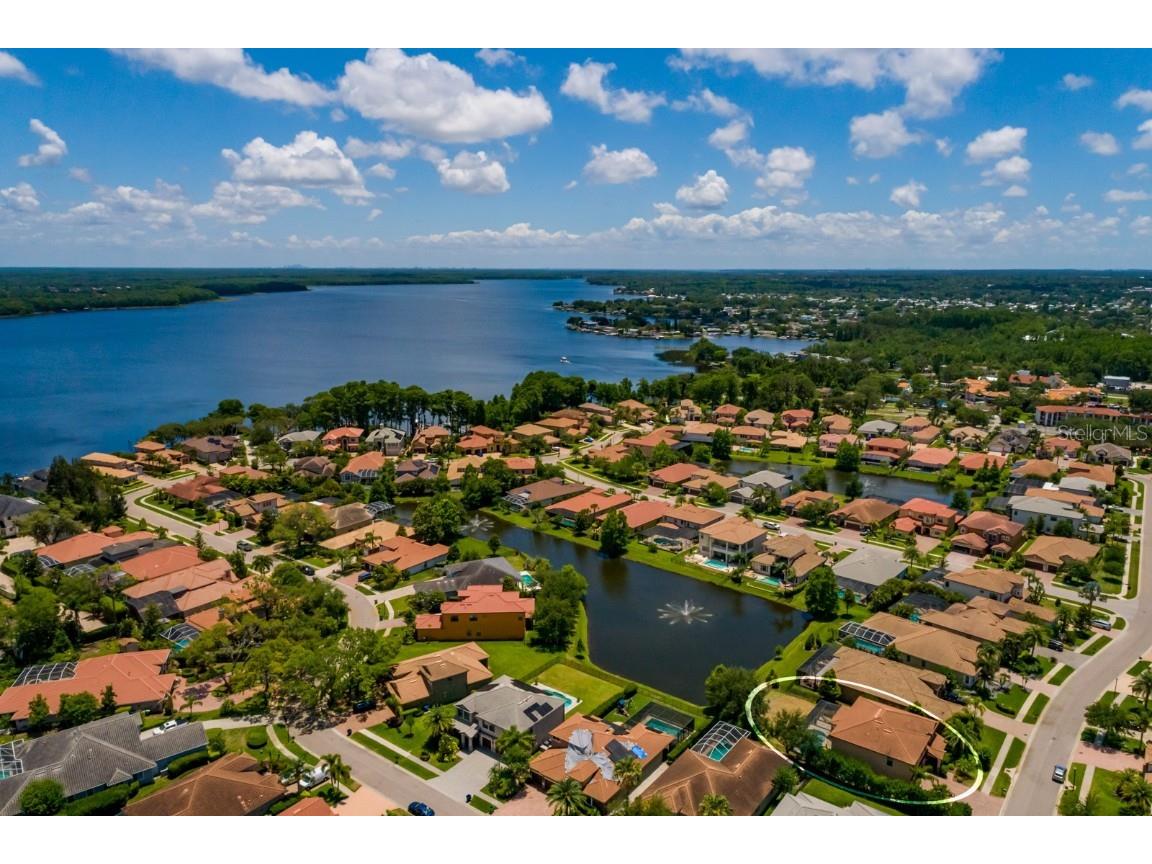 4611 Grand Preserve Place Palm Harbor FL 34684 - LAKE TARPON TB8386100 image63