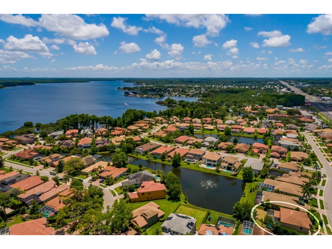 4611 Grand Preserve Place Palm Harbor FL 34684 - LAKE TARPON TB8386100 image64