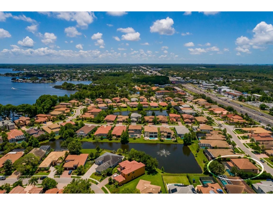 4611 Grand Preserve Place Palm Harbor FL 34684 - LAKE TARPON TB8386100 image65