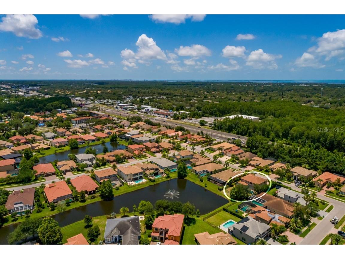 4611 Grand Preserve Place Palm Harbor FL 34684 - LAKE TARPON TB8386100 image66