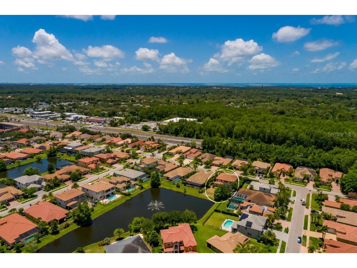 4611 Grand Preserve Place Palm Harbor FL 34684 - LAKE TARPON TB8386100 image67