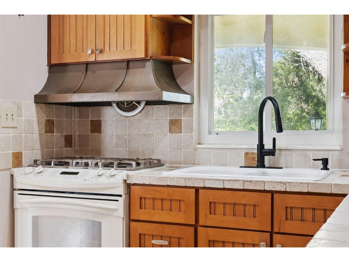 4611 Ola Beach Drive Mount Dora FL 32757 - LAKE OLA O6361869 image11