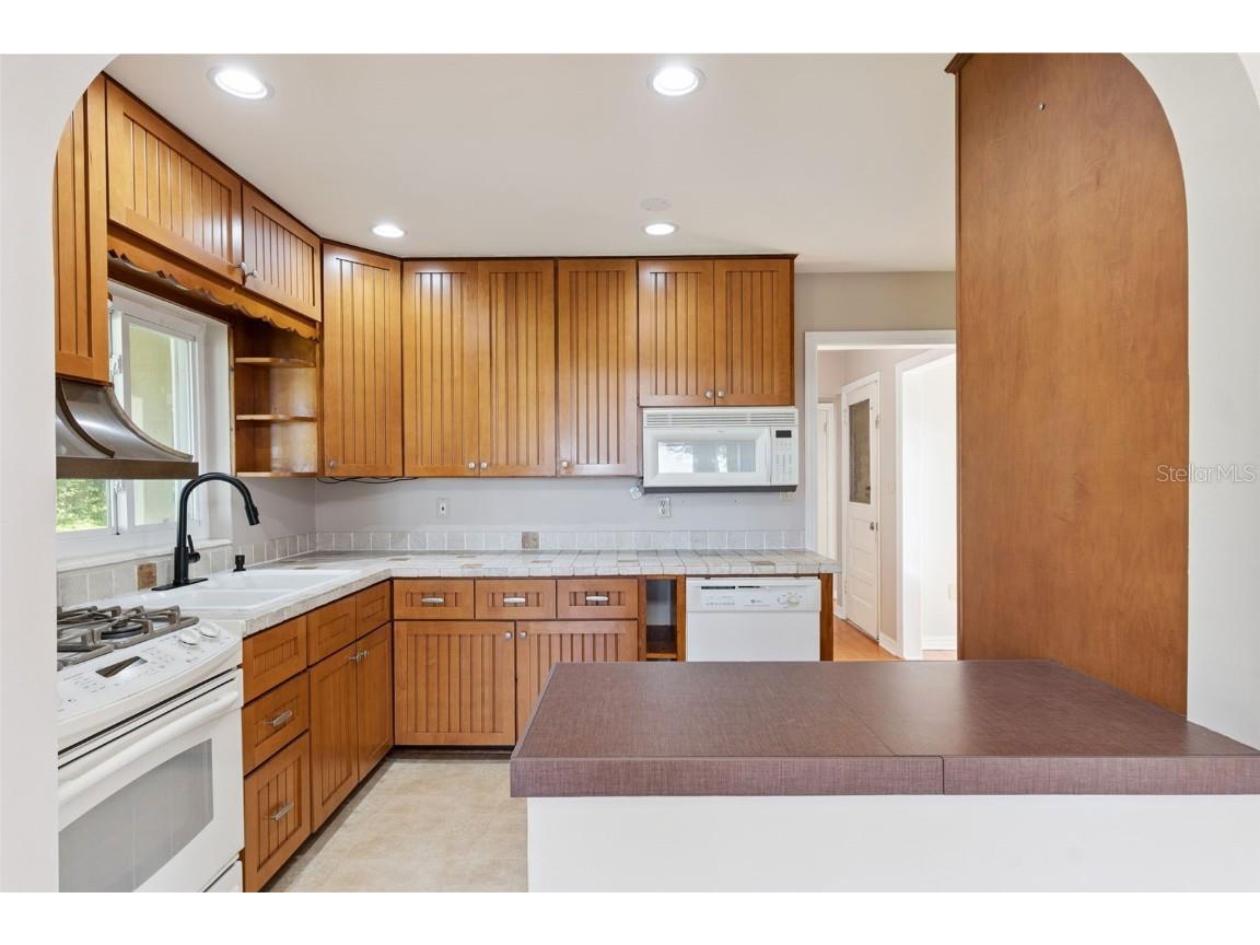 4611 Ola Beach Drive Mount Dora FL 32757 - LAKE OLA O6361869 image13