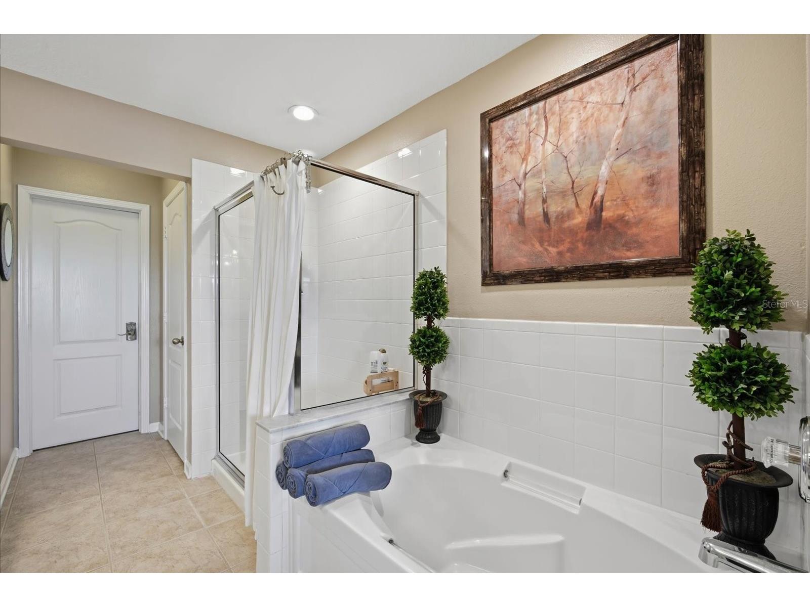 4611 Pond Ridge Drive Riverview FL 33578 TB8528286 image25