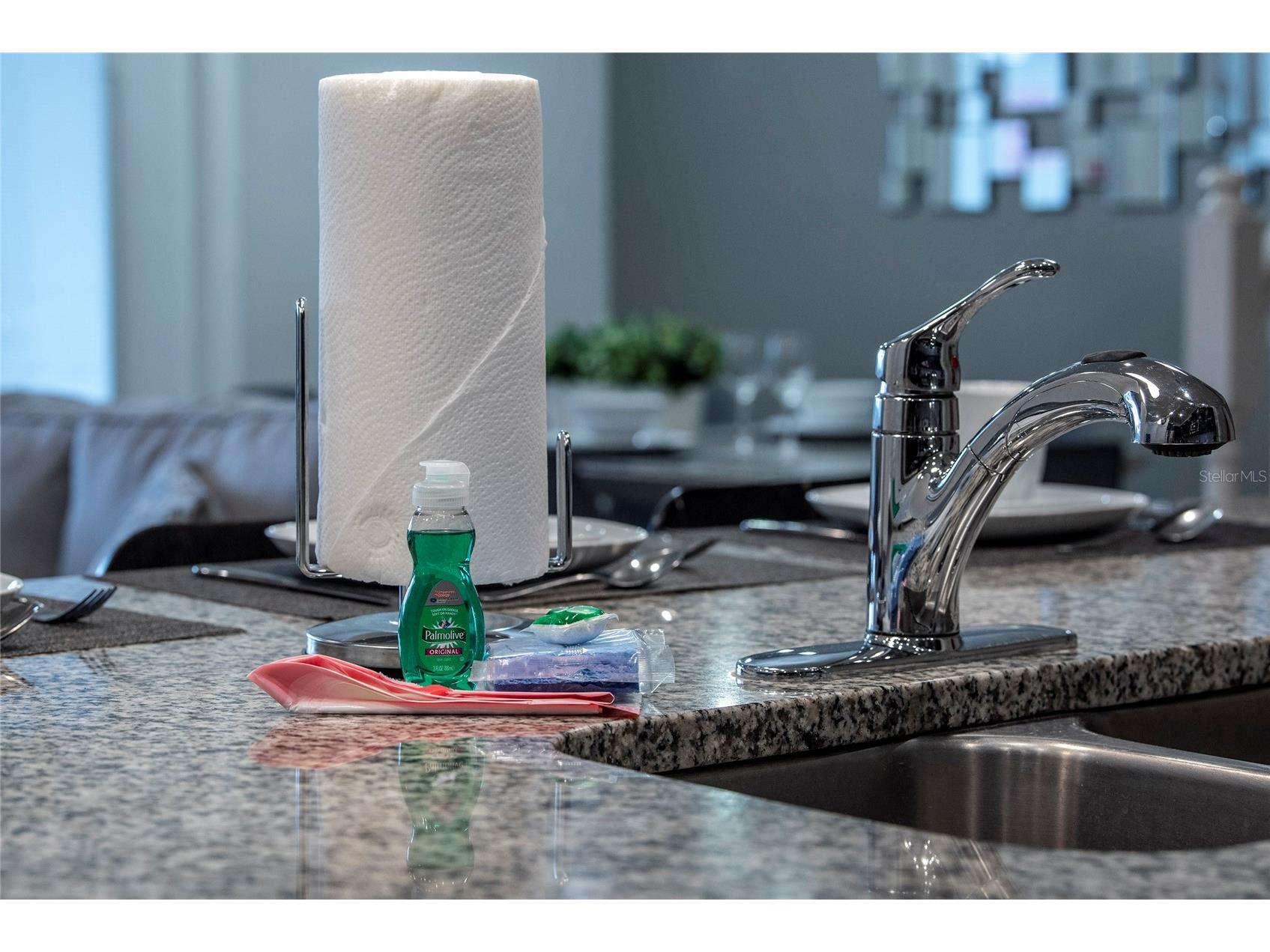 4611 Terrasonesta Drive Davenport FL 33837 O6397123 image14