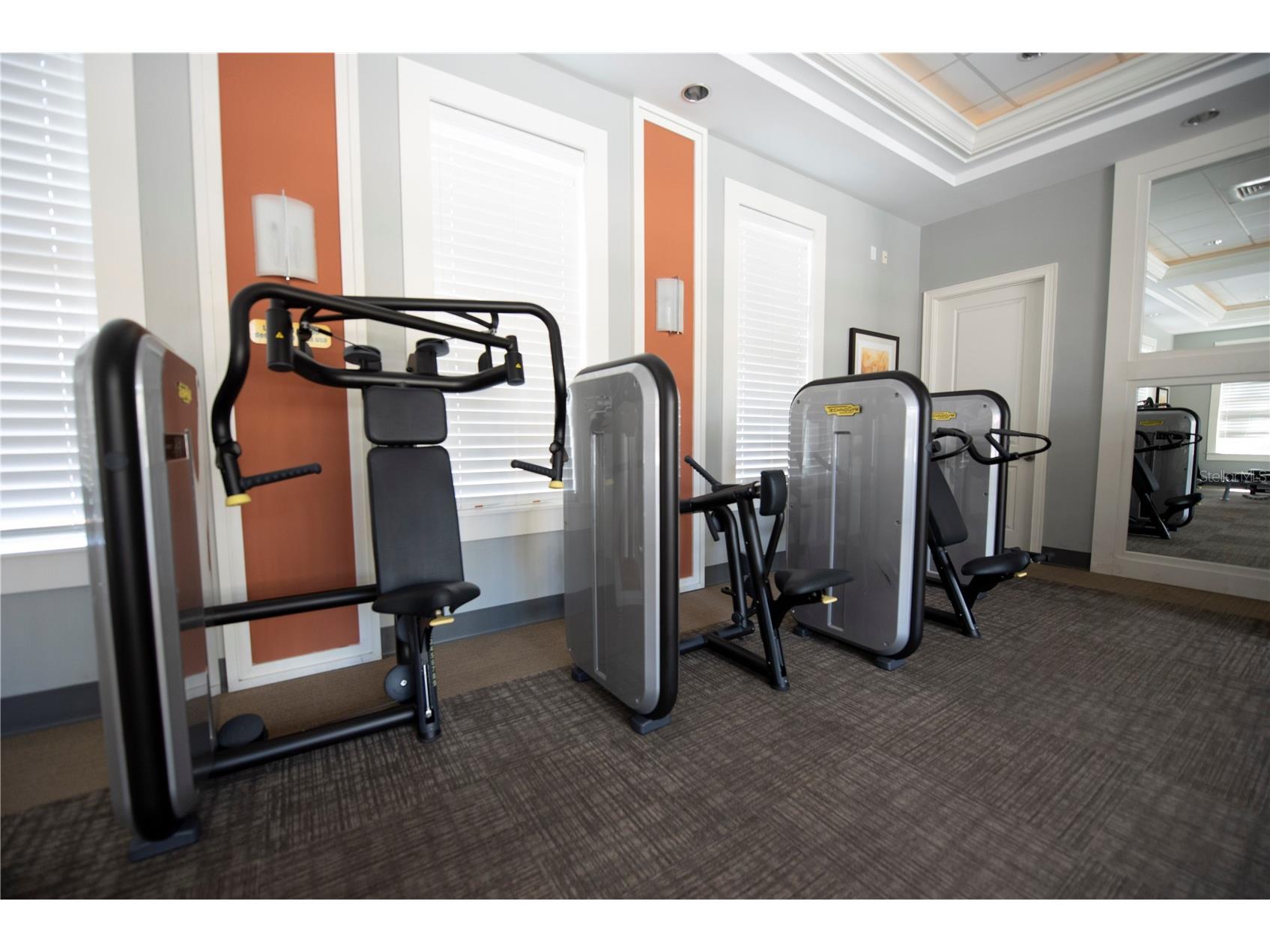 4611 Terrasonesta Drive Davenport FL 33837 O6397123 image50