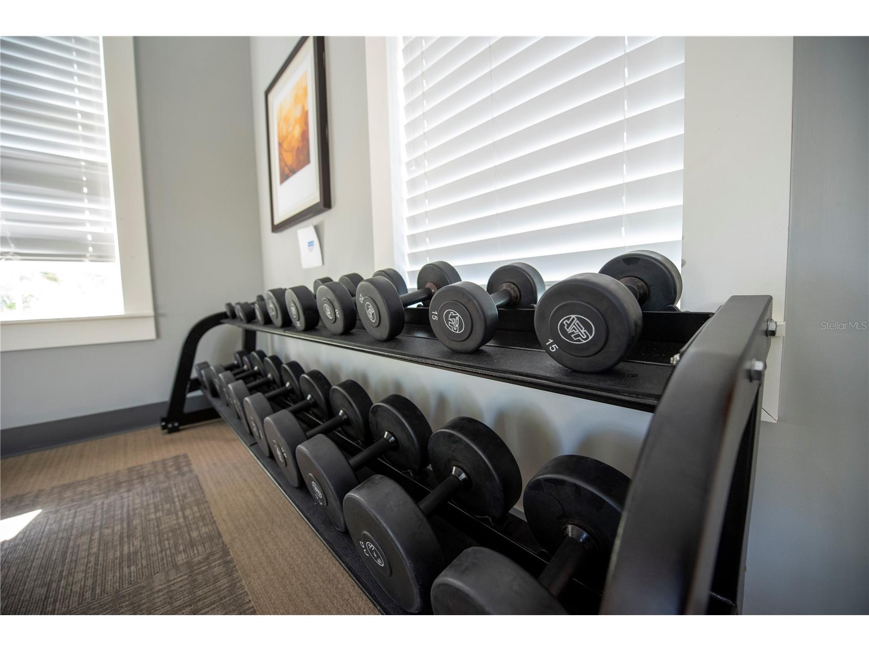 4611 Terrasonesta Drive Davenport FL 33837 O6397123 image51