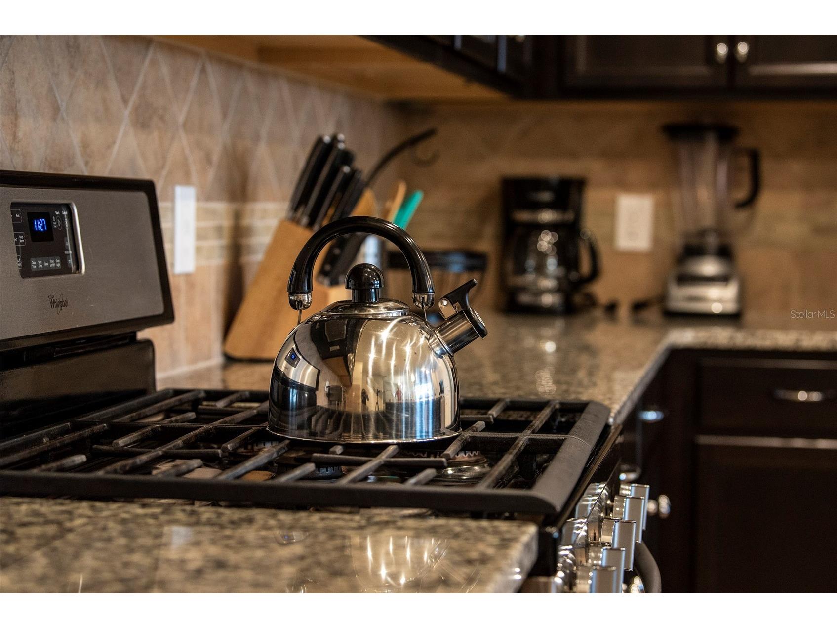 4611 Terrasonesta Drive Davenport FL 33837 O6397123 image8