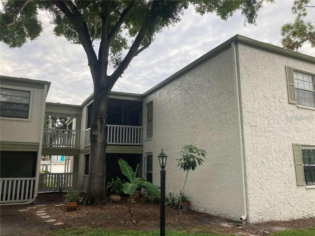 4611 W North B Street #220 Tampa FL 33609 TB8435685 image1