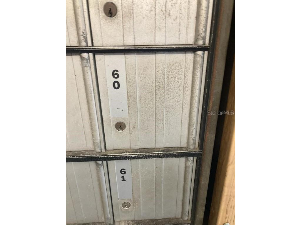 4611 W North B Street #220 Tampa FL 33609 TB8435685 image4