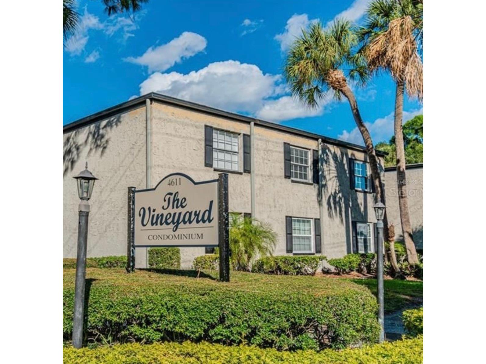 4611 W North B Street #236 Tampa FL 33609 TB8461358 image1