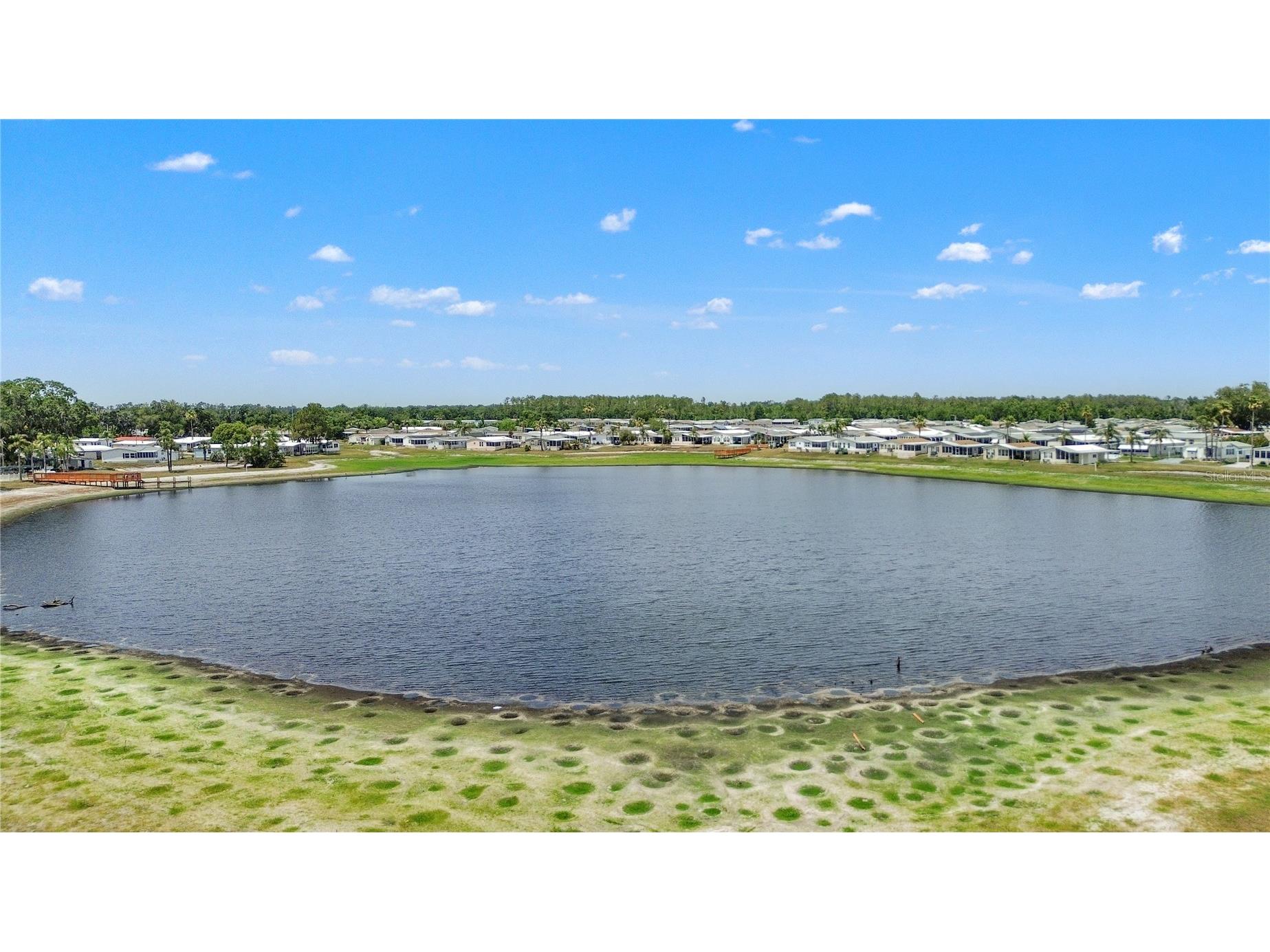 4612 Clarice Avenue Zephyrhills FL 33541 TB8504737 image30